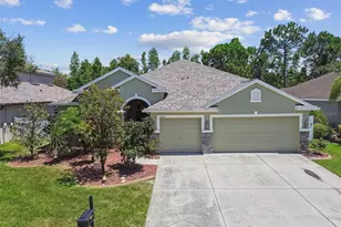 11126 Biddeford Pl, New Port Richey, FL 34654 - Photo 1