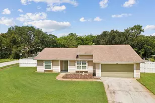 827 Creekside Ln, Palm Harbor, FL 34684 - Photo 1