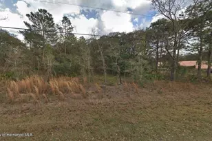 13176 Kildeer Rd, Weeki Wachee, FL 34614 - Photo 1