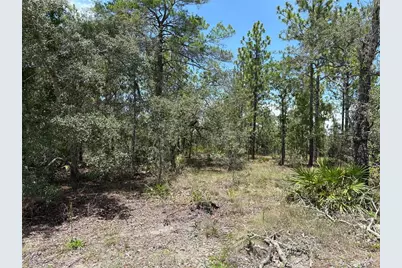 12179 Scarlet Ibis Avenue, Brooksville, FL 34614 - Photo 1