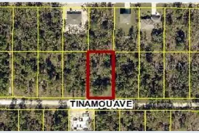 13075 Tinamou Avenue, Weeki Wachee, FL 34614 - Photo 1