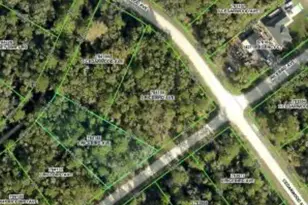 14059 Ricebird Ave, Weeki Wachee, FL 34614 - Photo 1