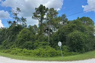 Lot 1 Canvasback Rd, Brooksville, FL 34614 - Photo 1