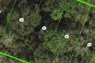 0 Hialeah Ave, New Port Richey, FL 34654 - Photo 1