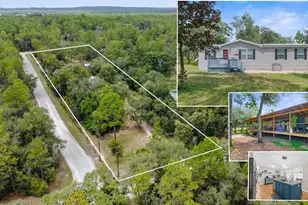 11648 S Rural Terrace, Floral City, FL 34436 - Photo 1