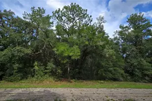 9427 N Lampson Terrace, Dunnellon, FL 34434 - Photo 1