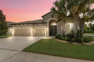 21837 Briske Morning Ave, Land O Lakes, FL 34637 - Photo 1