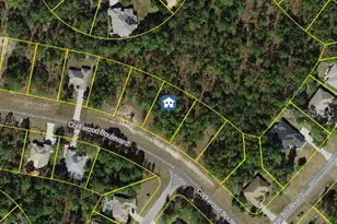 62 Corkwood Blvd, Homosassa, FL 34446 - Photo 1