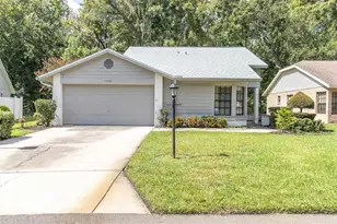 11736 White Ash Dr, New Port Richey, FL 34654 - Photo 1