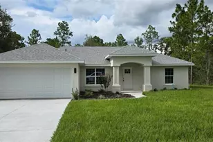 14055 Red Marlin Ave, Brooksville, FL 34614 - Photo 1
