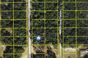 6515 N Silverbell Terrace, Hernando, FL 34442 - Photo 1