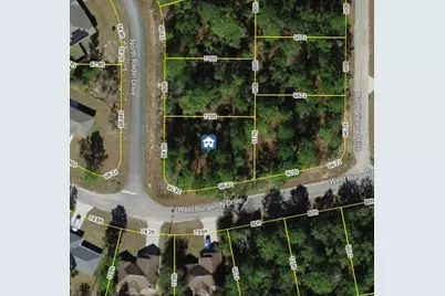 8737 N Raidin Drive, Citrus Springs, FL 34433 - Photo 1