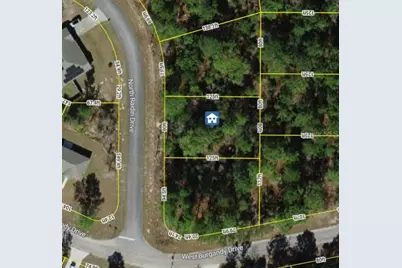 8753 N Raidin Drive, Citrus Springs, FL 34433 - Photo 1