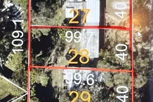 12224 Tree St, Largo, FL 33773 - Photo 1