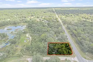 6669 W Cardinal St, Homosassa, FL 34446 - Photo 1