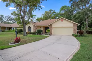 6421 Pine Meadows Dr, Spring Hill, FL 34606 - Photo 1