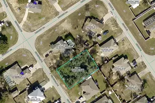 4498 Winterville Rd, Spring Hill, FL 34608 - Photo 1