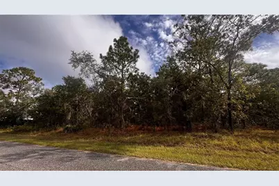 11290 Lapwing Road, Weeki Wachee, FL 34614 - Photo 1