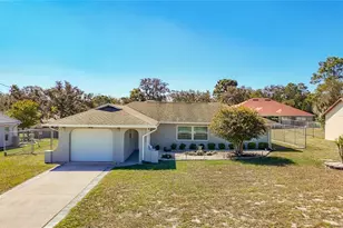 12224 Foothill St, Spring Hill, FL 34609 - Photo 1