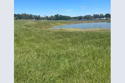 Sydney Road, Dover, FL 33527 - Photo 1