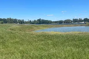 Sydney Rd, Dover, FL 33527 - Photo 1