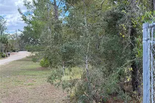 8014 N Zaval Ave, Dunnellon, FL 34433 - Photo 1