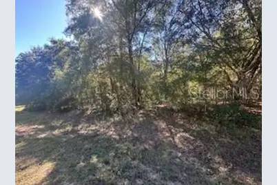 10012 N Athenia Drive, Citrus Springs, FL 34434 - Photo 1