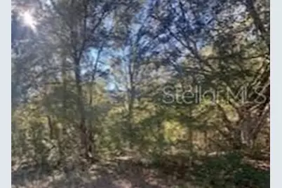 10014 N Athenia Drive, Citrus Springs, FL 34434 - Photo 1