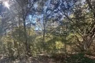 10014 N Athenia Dr, Citrus Springs, FL 34434 - Photo 1