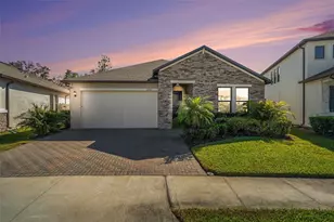 21565 Violet Periwinkle Dr, Land O Lakes, FL 34637 - Photo 1