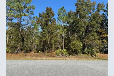 157 Daisy Street, Homosassa, FL 34446 - Photo 1