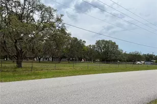 00 Fringe Tree Dr, Spring Hill, FL 34610 - Photo 1