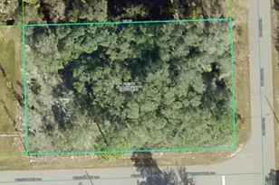 Lot 4 Kildeer Rd, Weeki Wachee, FL 34614 - Photo 1