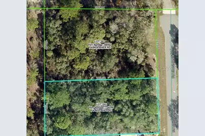 Lot 1 Kingfisher Road, Weeki Wachee, FL 34614 - Photo 1