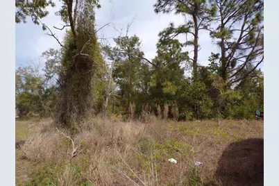 4582 Gondolier Road, Spring Hill, FL 34609 - Photo 1