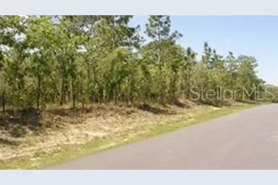 0 Petrel Avenue, Weeki Wachee, FL 34614 - Photo 1