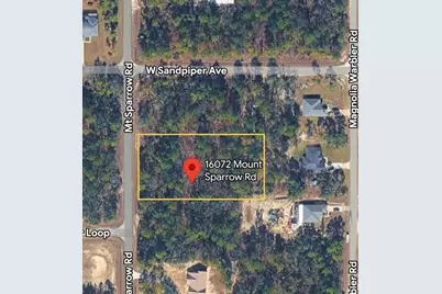 16072 Mount Sparrow Rd, Brooksville, FL 34614 - Photo 1