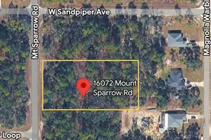 16072 Mount Sparrow Rd, Brooksville, FL 34614 - Photo 1