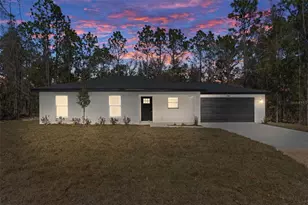 14197 Red Marlin Ave, Brooksville, FL 34614 - Photo 1