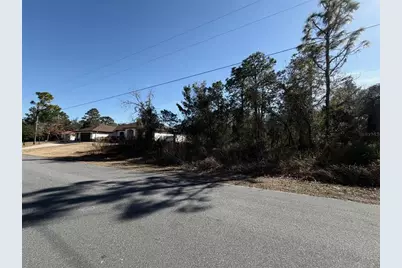 0 Godwit Avenue, Weeki Wachee, FL 34613 - Photo 1