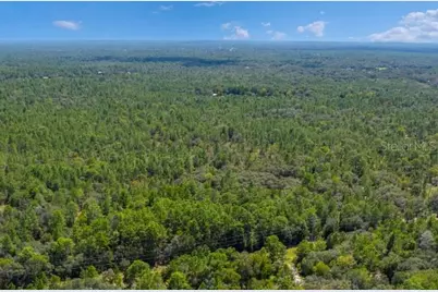 6376 W Hagan Court, Dunnellon, FL 34433 - Photo 1