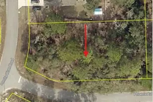 0 Lomita Wren Rd, Weeki Wachee, FL 34614 - Photo 1