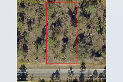 0 Thrasher Avenue, Weeki Wachee, FL 34614 - Photo 1