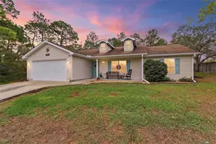 10294 Dotted Wren Ave, Weeki Wachee, FL 34613 - Photo 1