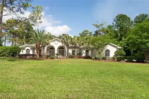 10801 Alico Pass, New Port Richey, FL 34655 - Photo 1