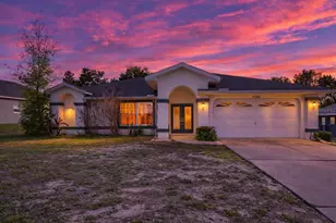 9350 Mallard St, Spring Hill, FL 34606 - Photo 1