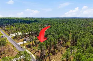 Lot 25 Thrasher Ave, Weeki Wachee, FL 34614 - Photo 1