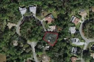9 Laurelcherry Ct, Homosassa, FL 34446 - Photo 1