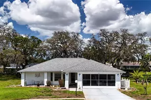 8711 Gold Pine Dr, Port Richey, FL 34668 - Photo 1