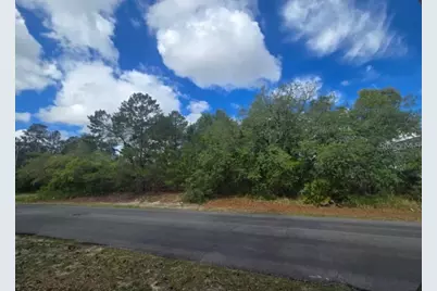 4113 Portillo Road, Spring Hill, FL 34608 - Photo 1